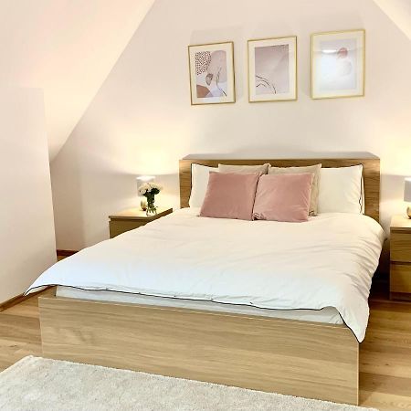 Hotel, Apartament Pod Zlotym Lwem W Samym Centrum Miasta Z Darmowym Parkingiem VII โควอตสโก ภายนอก รูปภาพ